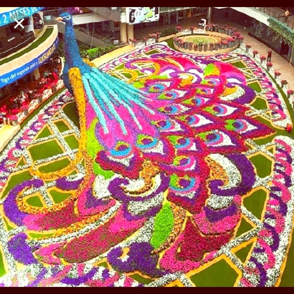 Meet your Posher, Diana - Picture 1 of 1